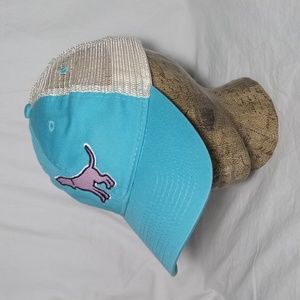 Southern Fried Cotton Labrador Spearmint Dad Cap Snapback Hat SoFriCo EUC